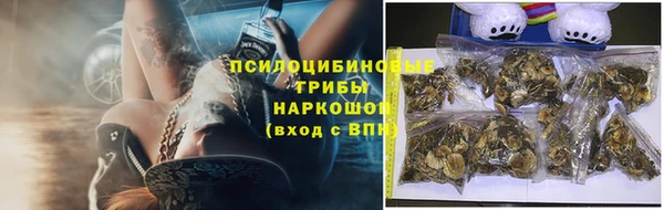 гидра Вязьма