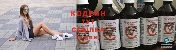 гидра Вязьма