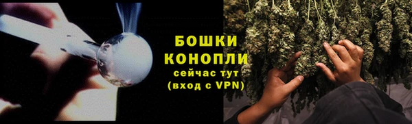 гидра Вязьма
