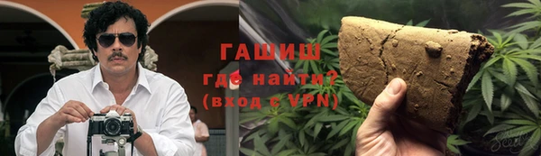 амф Каменка