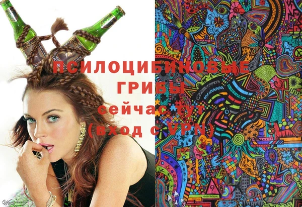 шишки Вязники