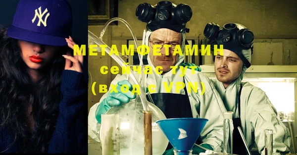 гидра Вязьма