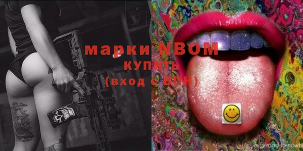 гидра Вязьма