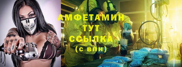 шишки Вязники