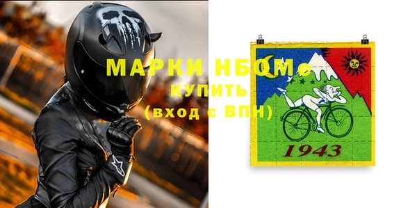 гидра Вязьма